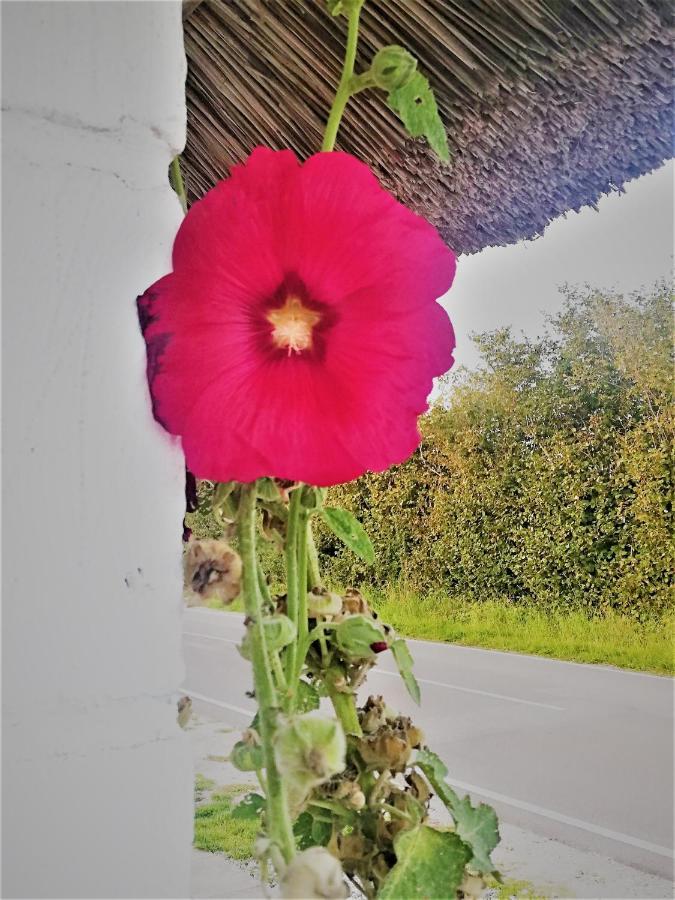 The Whispering Apple Garden Retreat Apartamento Morud Exterior foto